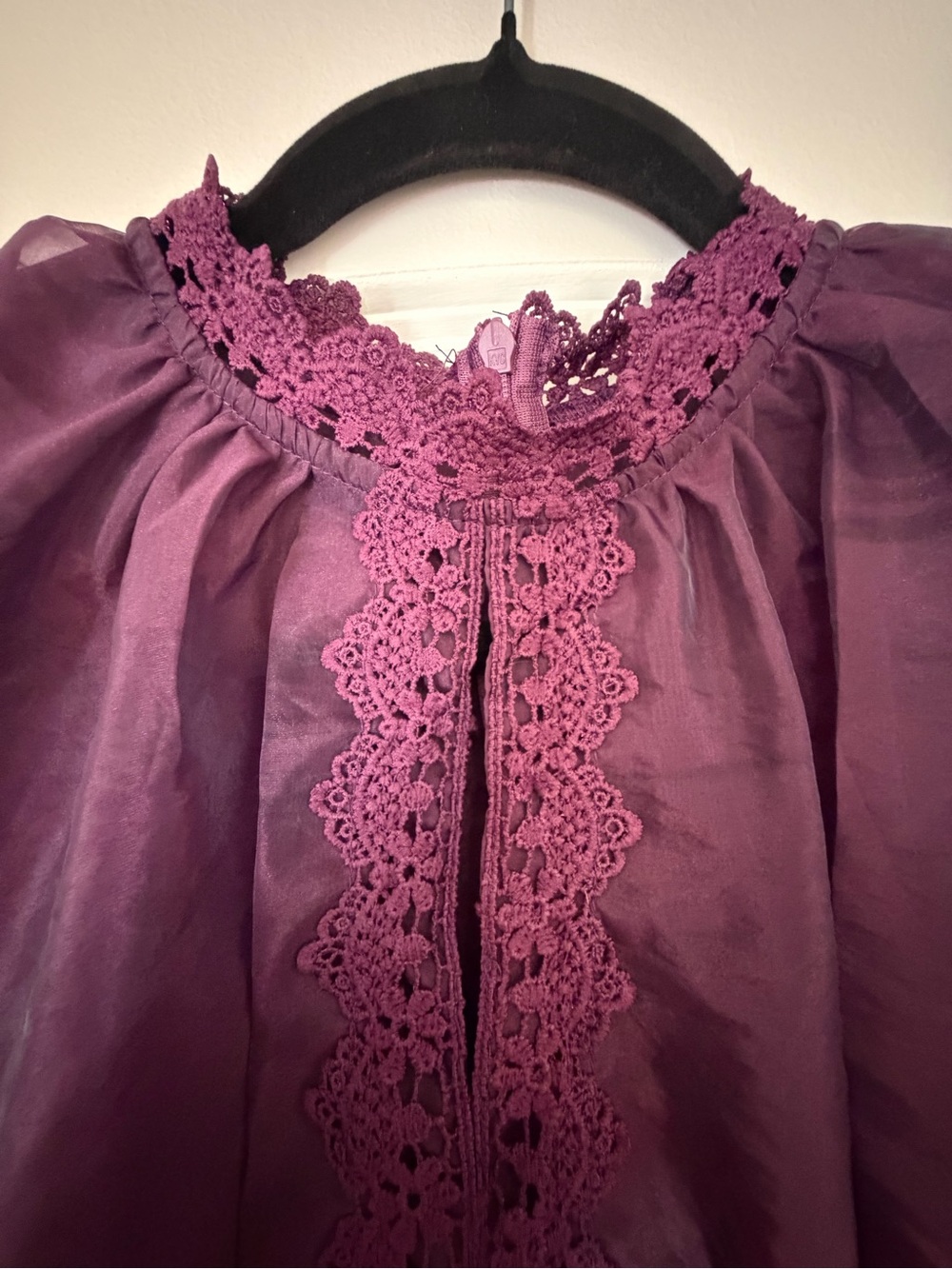 Deep Plum Dress with Lace Trim - Picture 5 of 8
